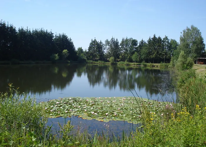 Eifel Lamberty 2* Landscheid